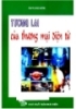 Ebook Tương lai của Thương mại điện tử - Sayling Wen